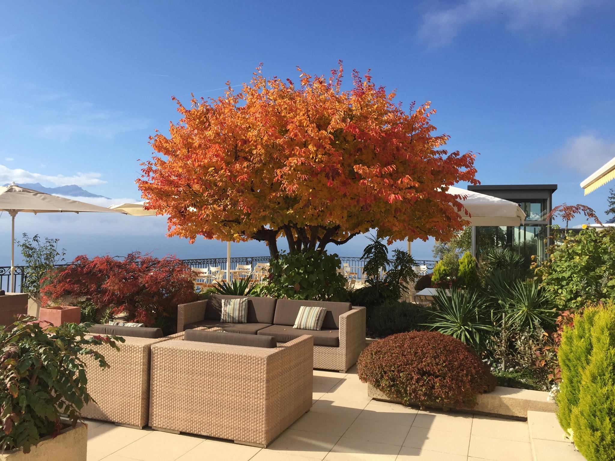 Le Mirador & 5* Mont Pelerin